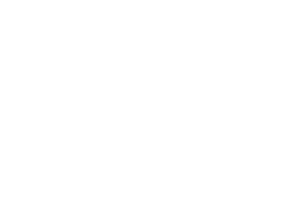 The Points Guy